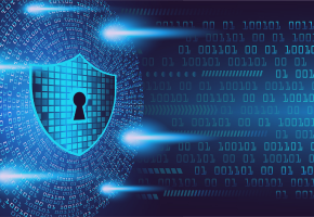 Protection Against DDoS Attacks and Traffic Overload