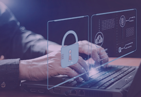 Vulnerability Management Across the IT Environment